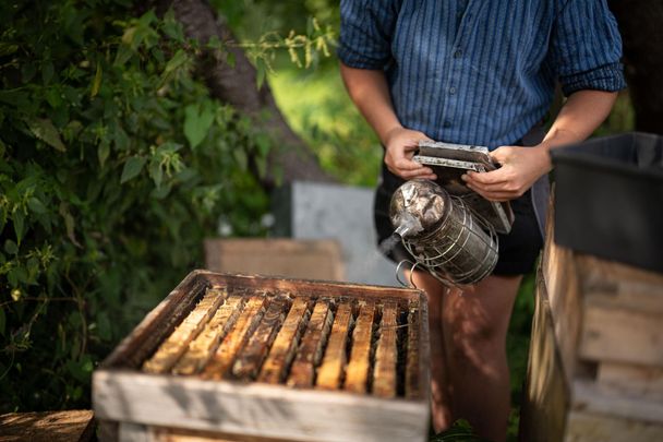 Bienenpflege am Landhof Schmid in Ofterschwang