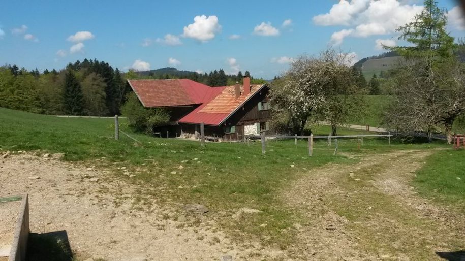 Frühlingserwachen auf unserer Alpe