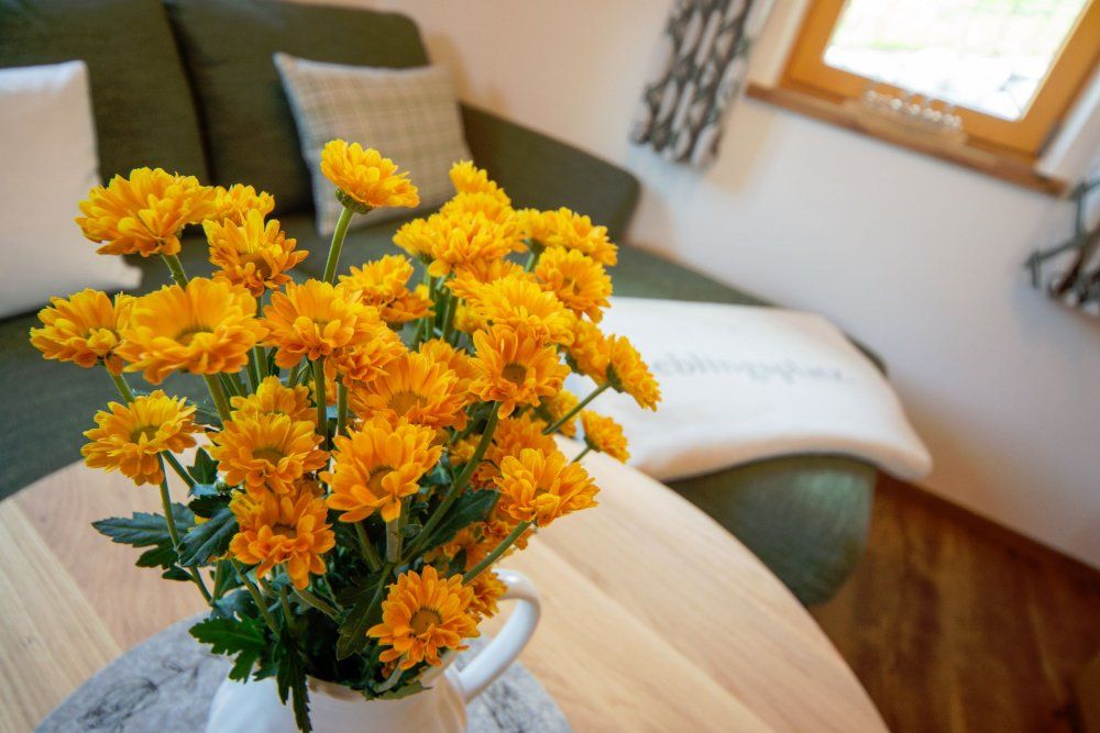 K-22558_FeWo-Hoinzestadel_4153__Tanner-Werbung