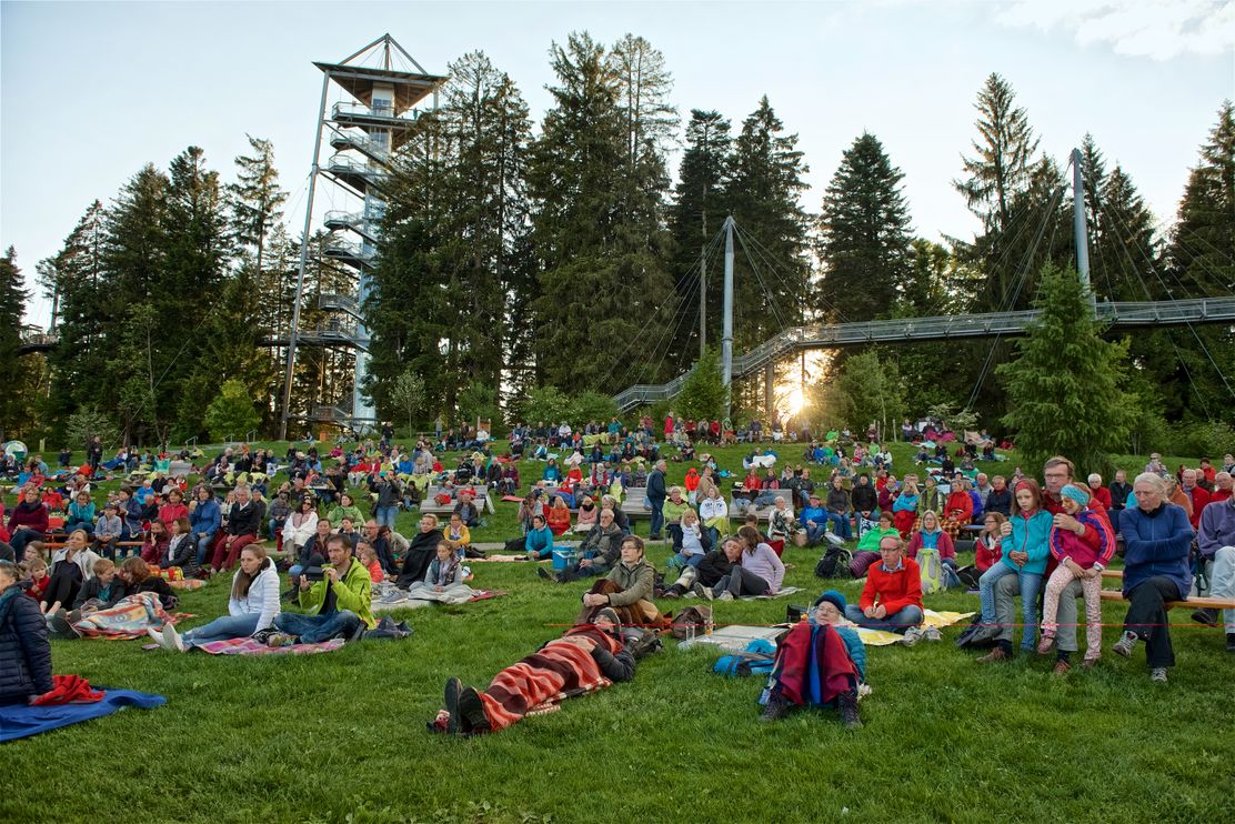 Ein Wald voller Musik