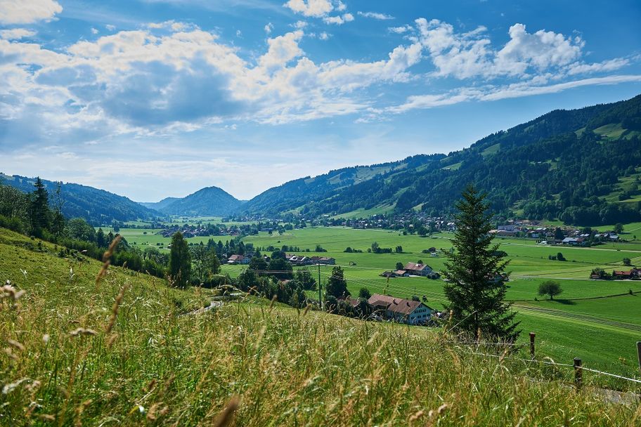 Blick übers Konstanzer Tal