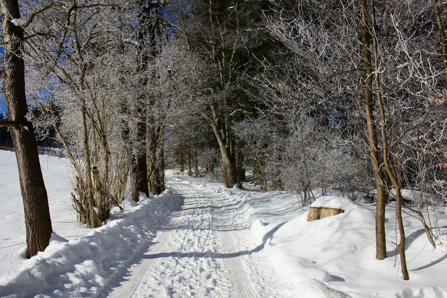 Winterwanderweg im Burgwald
