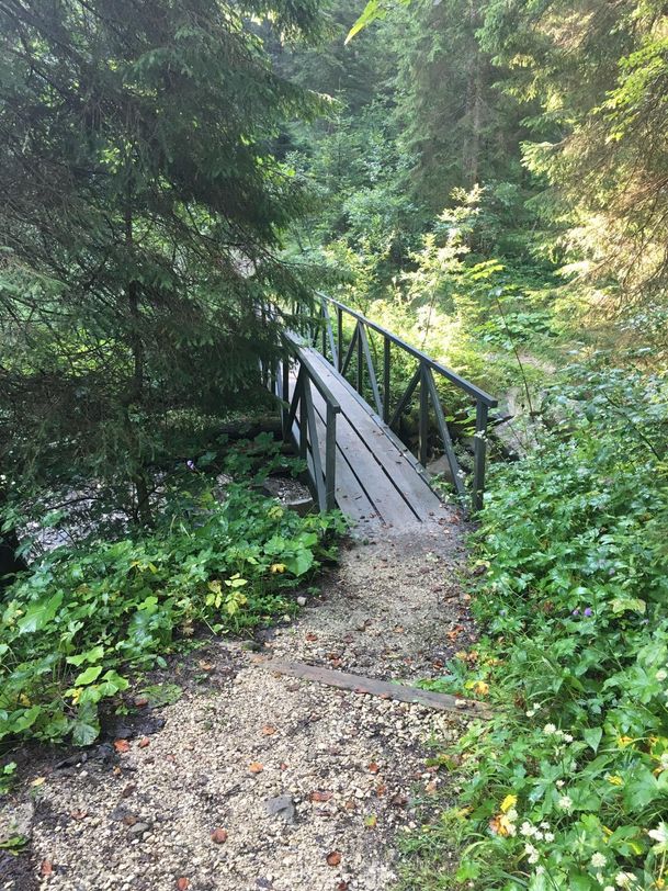 Brücke über den Kenzenbach