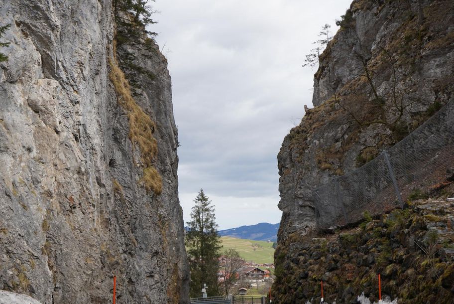 Hirschsprung in Obermaiselstein