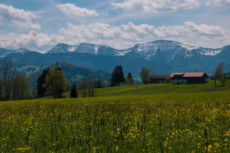 Blick zum Hochgrat