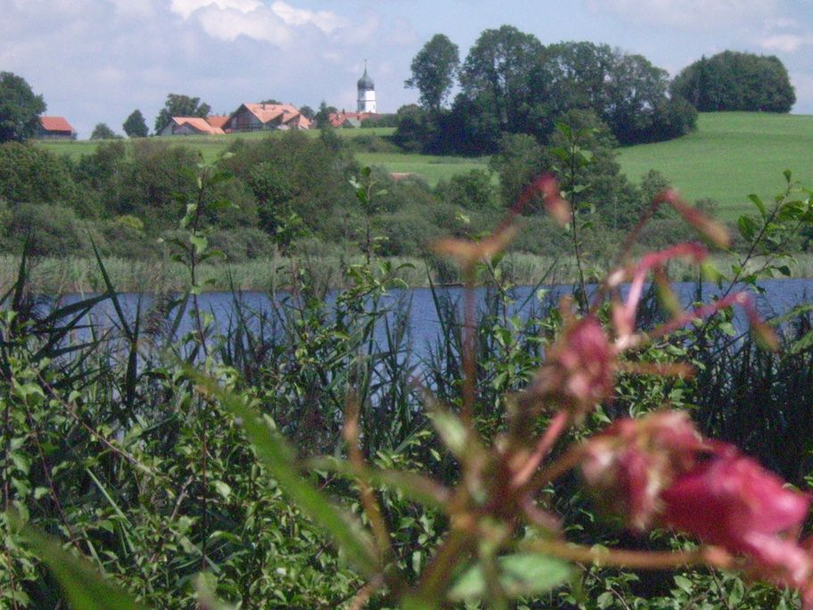 Blick auf den Metzisweiler Weiher - im Hintergrund Eintürnenberg