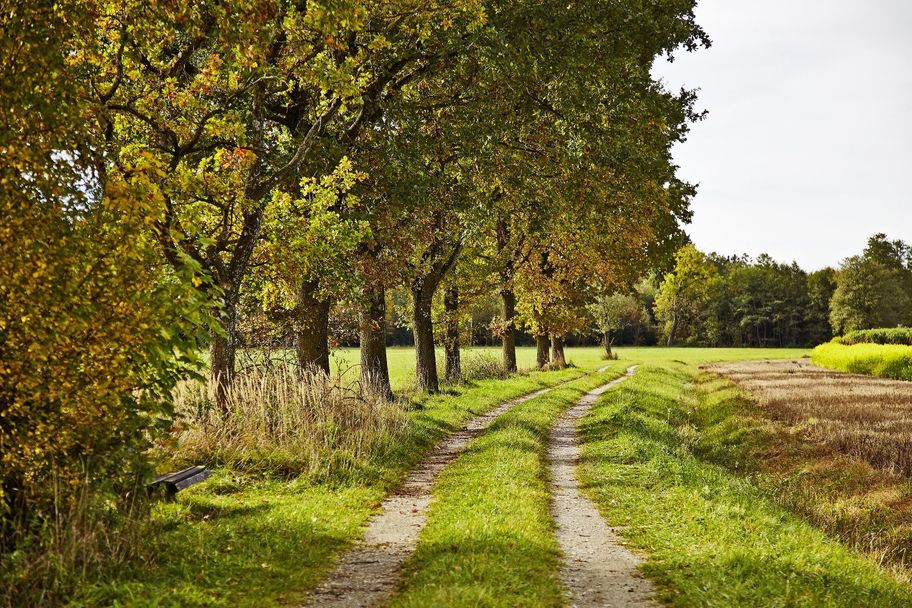 Wanderung Schlingen – Frankenhofen – Ostpark