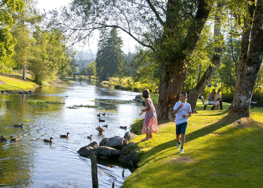 Enten beobachten am Grundbach in Fischen