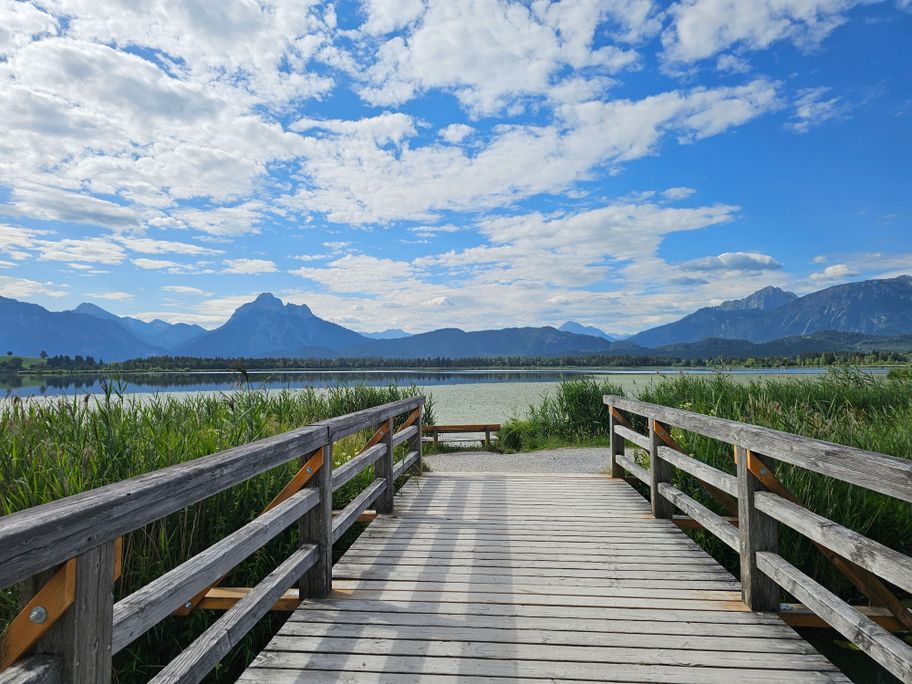 Holzbrücke am Hopfensee-Rundweg
