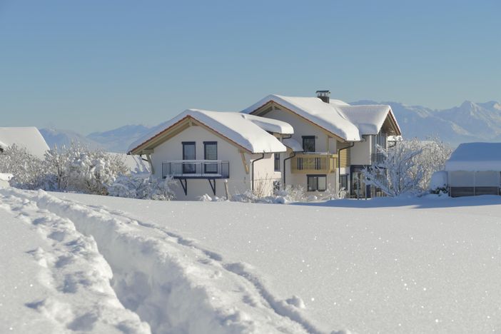 Winter 2