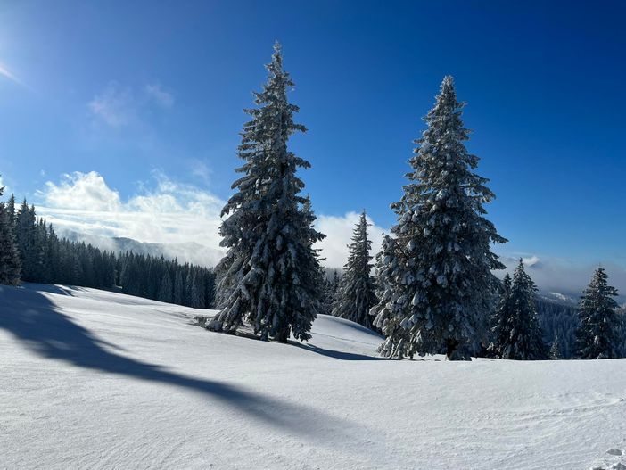 Verschneite Winterlandschaft