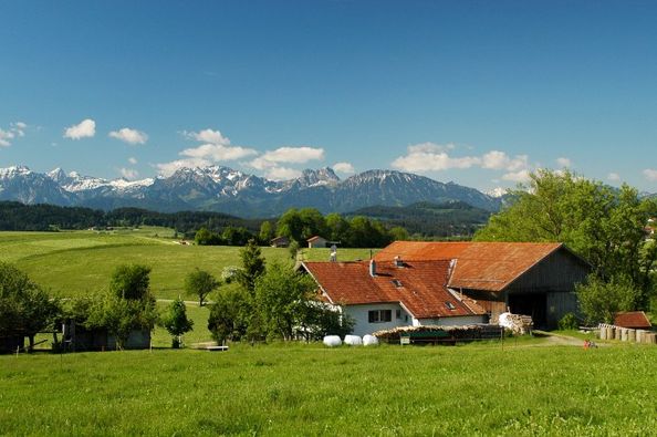 Aussicht vom Hof