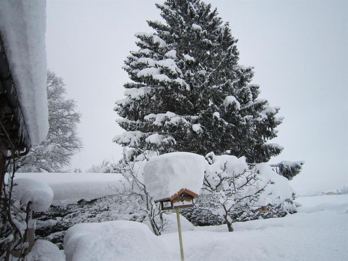 Winter2014-15 021