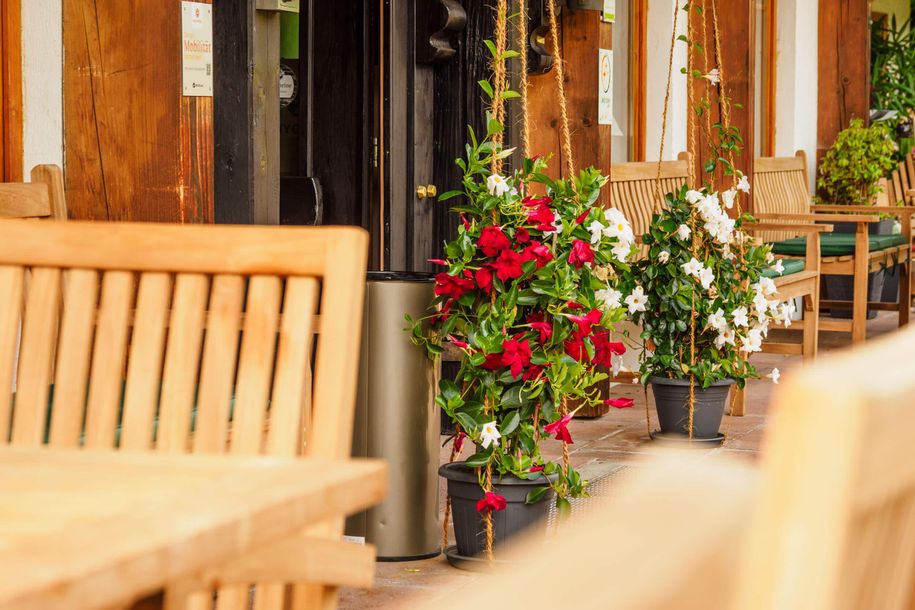 Terrasse Alpenhotel Sonneck, Bad Hindelang