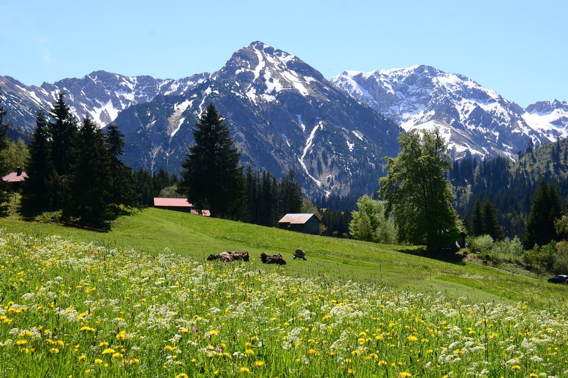 Erlebnisweg Alpenstadt