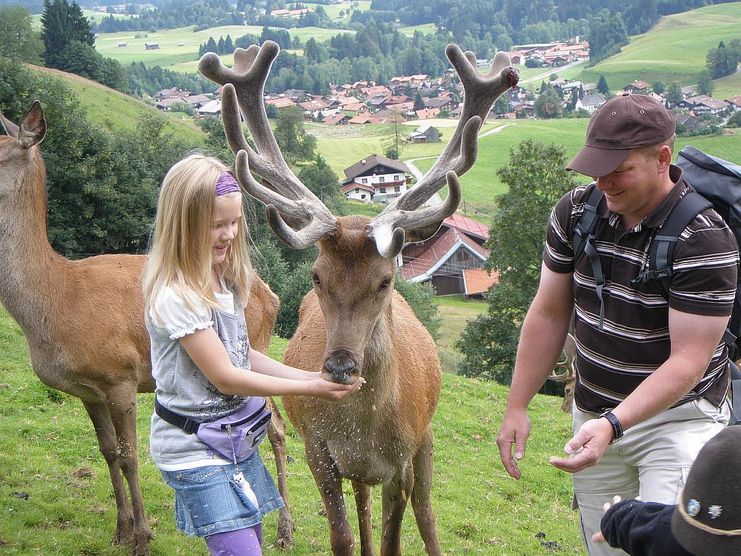 Die Erlebnisfütterung der Wildtiere und eine kl...