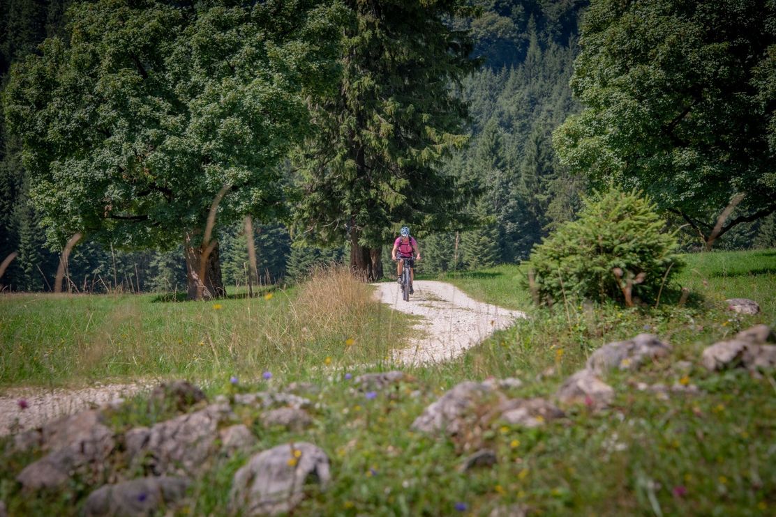 Auf dem Weg zum Wankerfleck
