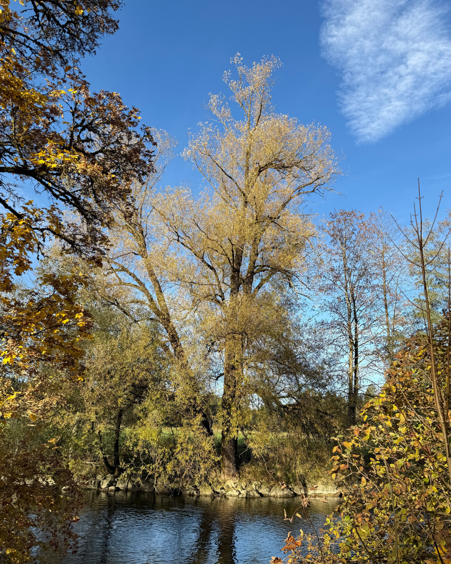 Wertach-Viehweid-Runde