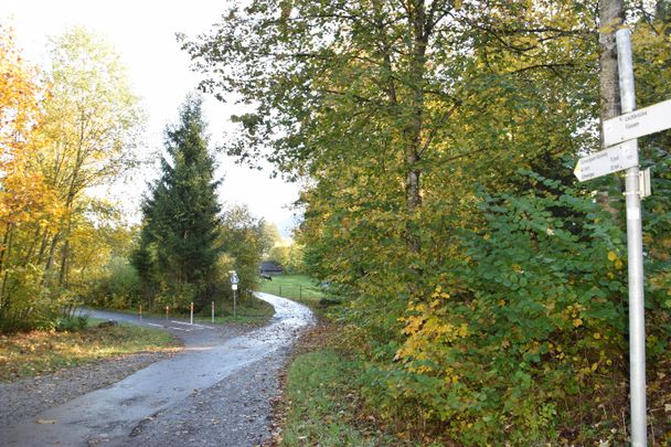 Spazierweg "Schwangauer Rundweg"