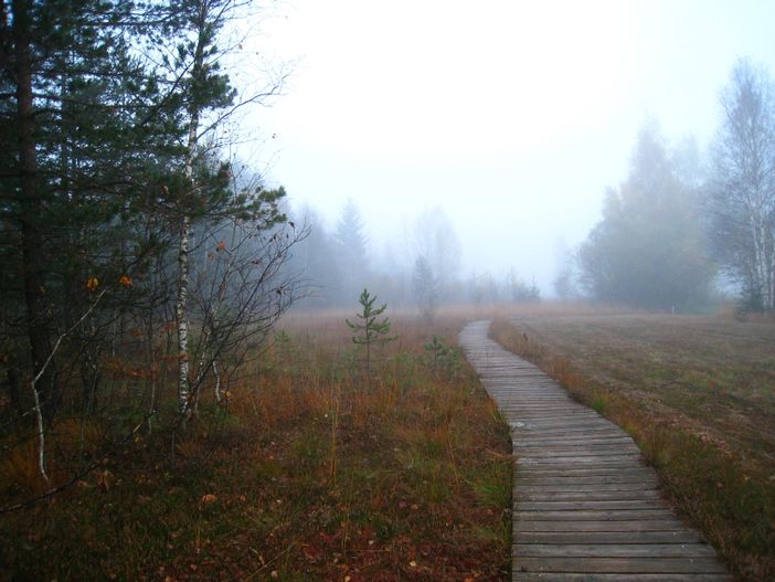 images =ktober 139
