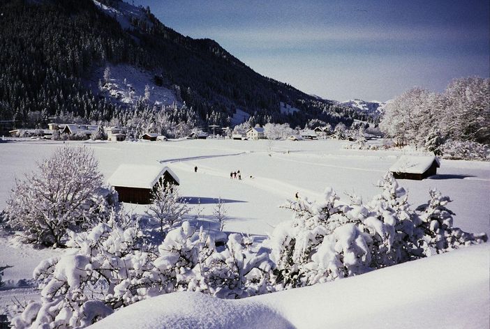 Ausblick auf die Loipe