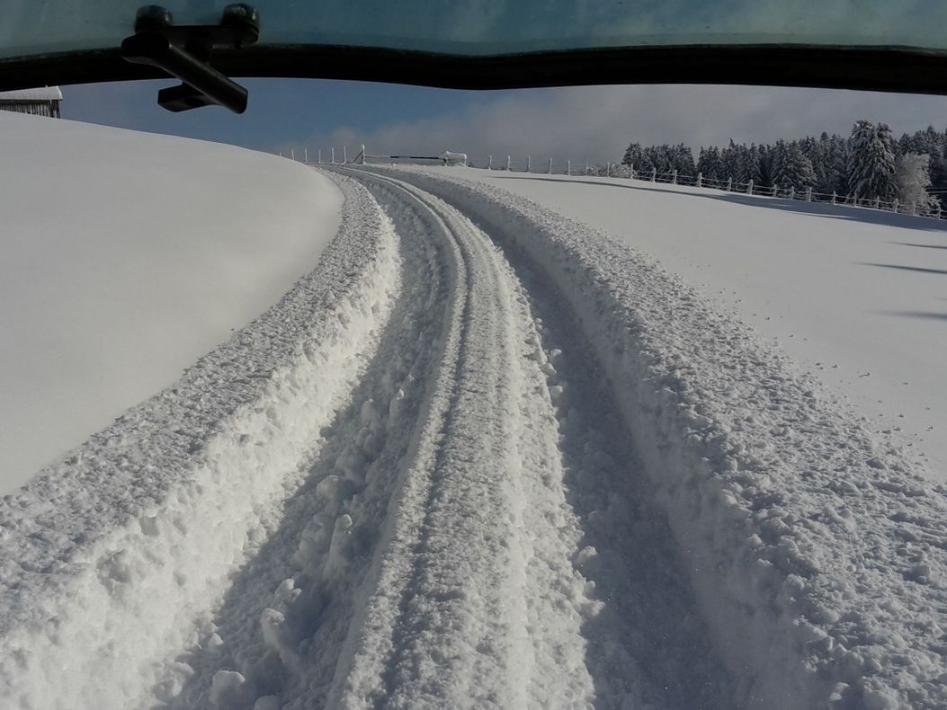 Winter