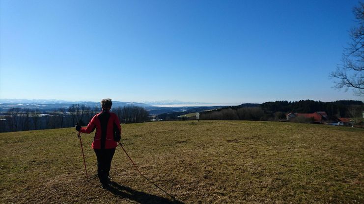 Aussicht auf den Bodensee