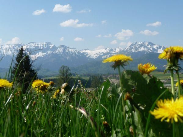 Frühling