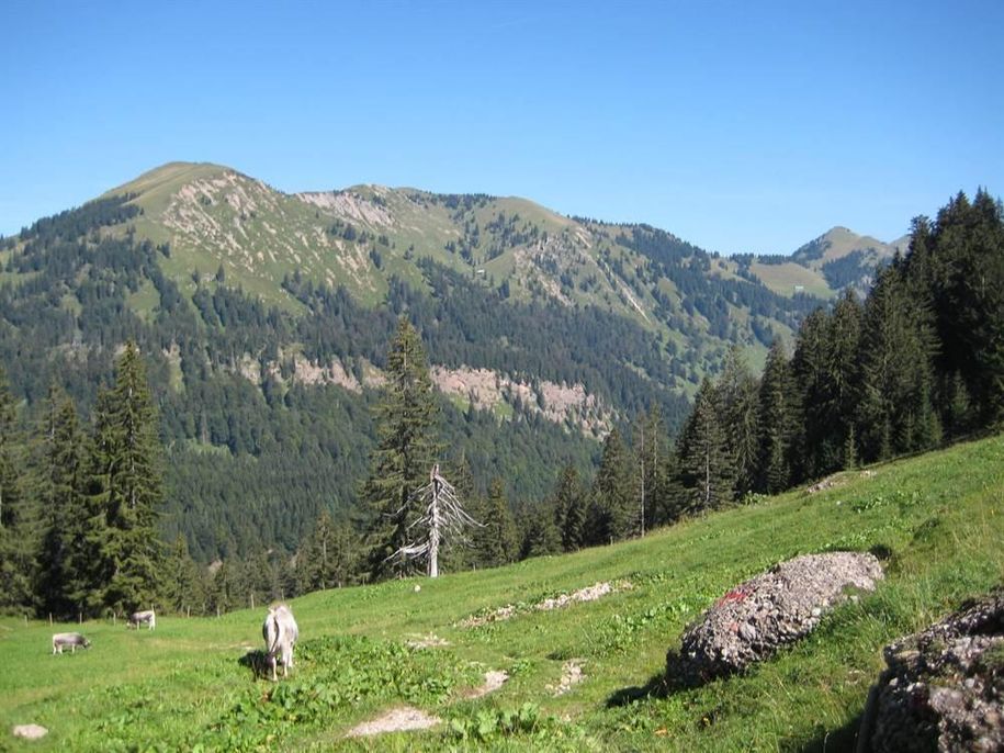 Wandern im Gunzesrieder Tal