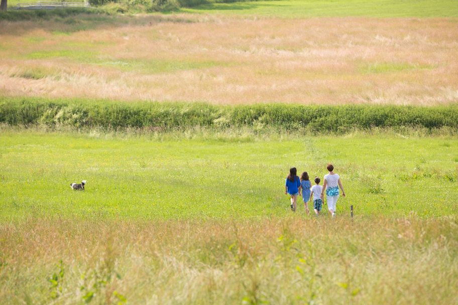 Naturerlebnisweg - Richtung Zeller Bach