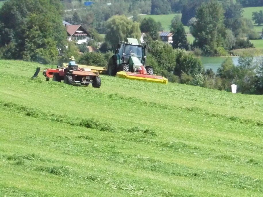 Der große und der kleine Bauer