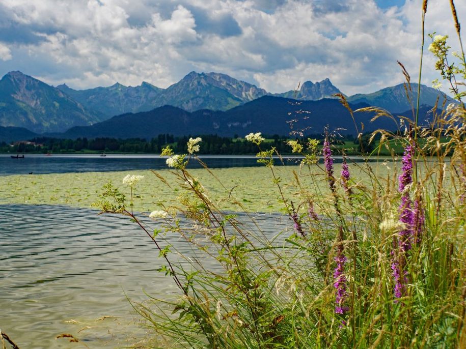 hopfensee