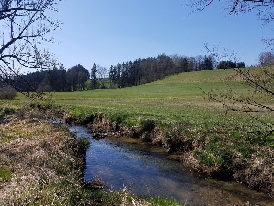 Am Karbach im Frühling