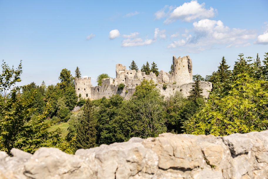 Burgruinen oberhalb von zell