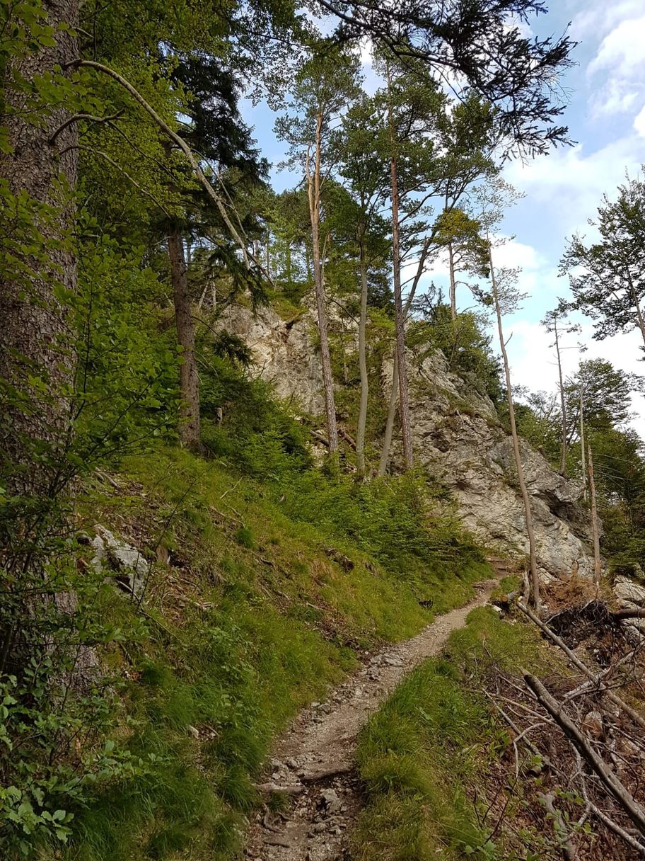 Pfad unterhalb des Kalvarienbergs