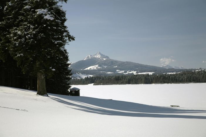 Winterblick