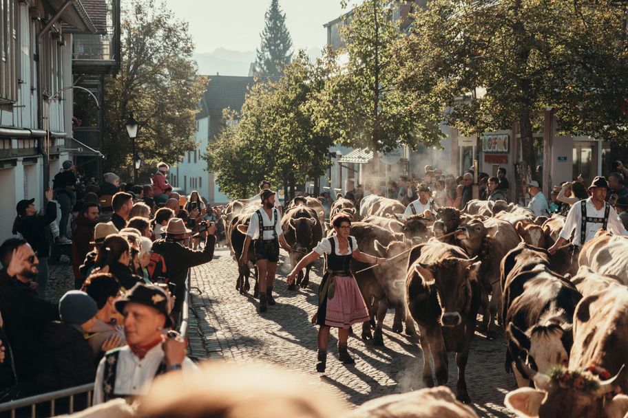 Viehscheid Immenstadt 2024 ©Tourist Information Immenstadt, Tan Akman (13)