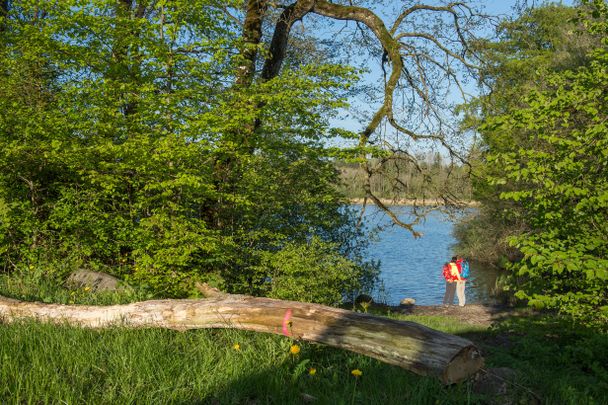 Staudacher Weiher nähe Eglofs