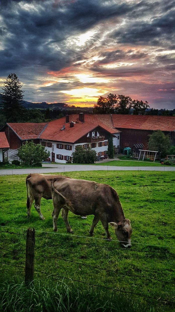 Ferienhof Hefele Sonnenuntergang mit Gewitter