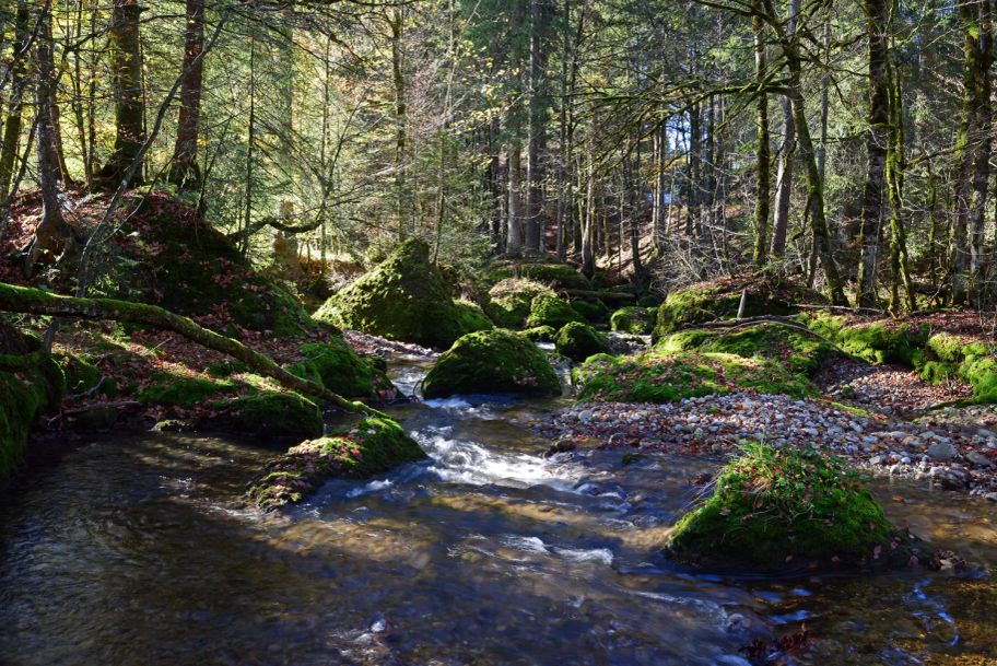 Lecknertal und Leiterberg – Märchenwelt im Herzen der Nagelfluhkette