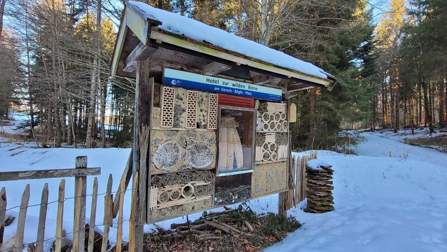 Vogellehrpfad Friesenried