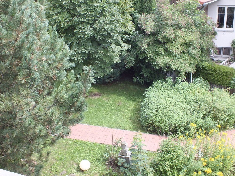 dscf1193