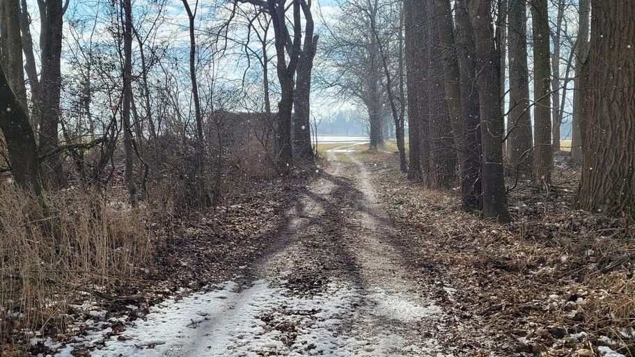Stadtwaldrunde in Buchloe