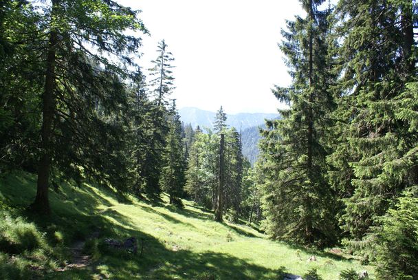 Schagstein-Runde
