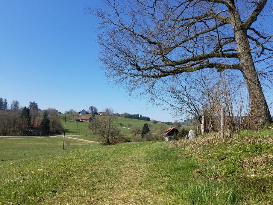 Wiesenpfad Richtung Schweinberg