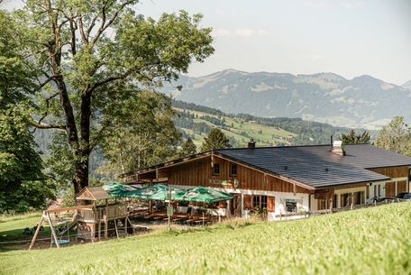 Alpe von oben mit Spielplatz und Sonnenterasse