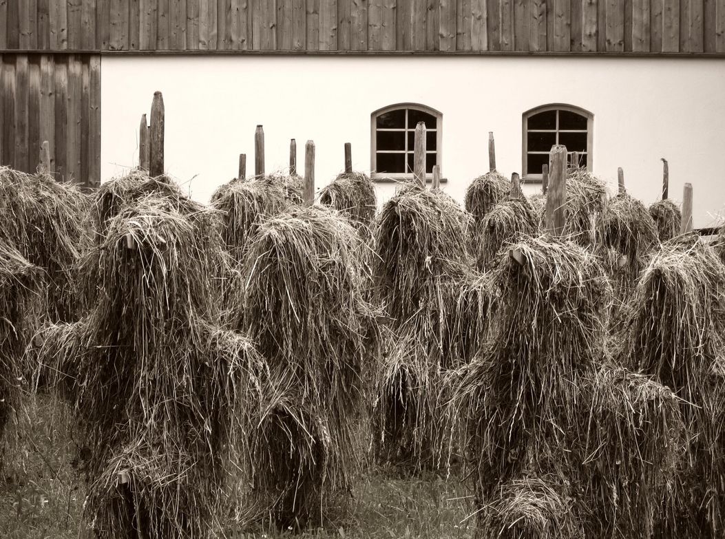 Heumänndle.U.Osterried.Röfleuten.7.Juli.2012