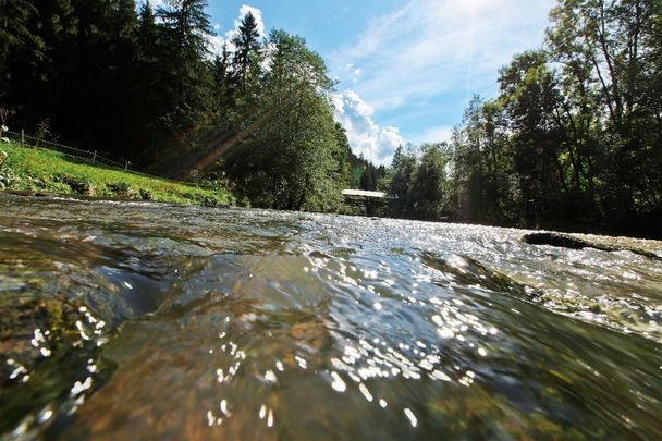 Flusslauf Wertach