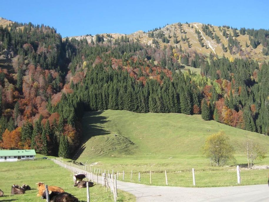 Herbststimmung Naturpark Nagelfluhkette