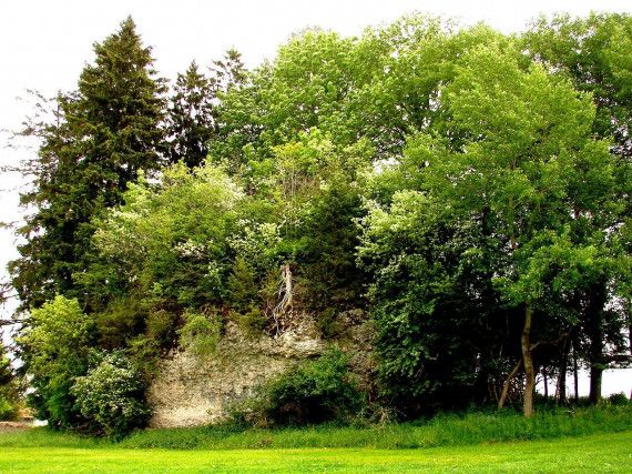 Findling im Kemptener Wald